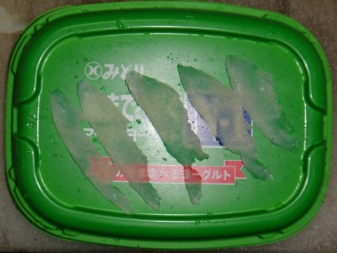 affxtduh8pkm9rgofovd_480_480-eb0bad1c.jpg