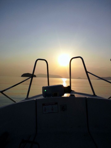 afg9js3ochrdf6wdc79r_480_480-f914da00.jpg