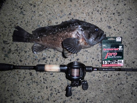 afhgao8ubssbkrgb32hs_480_480-f600a886.jpg