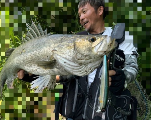 afijpkwair4gsubyewfe_480_480-c40d7379.jpg