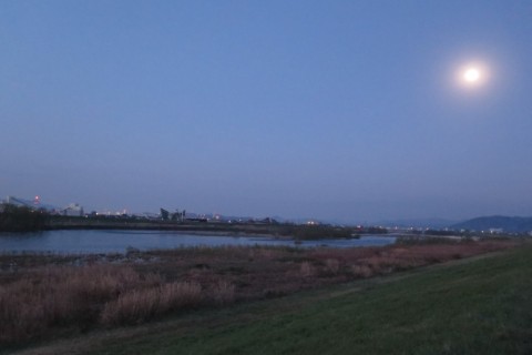 afnpaumspnoxe5t624cg_480_480-a3947574.jpg