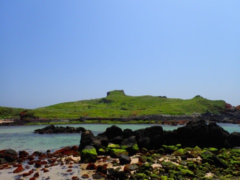 afprp7fnrxi7t9upinxm_480_480-580d8a59.jpg