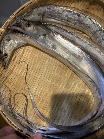 Tokushima Fishing Story 牙系fishing