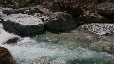 afvcv3c5d7exinhybfav_480_480-439eec06.jpg