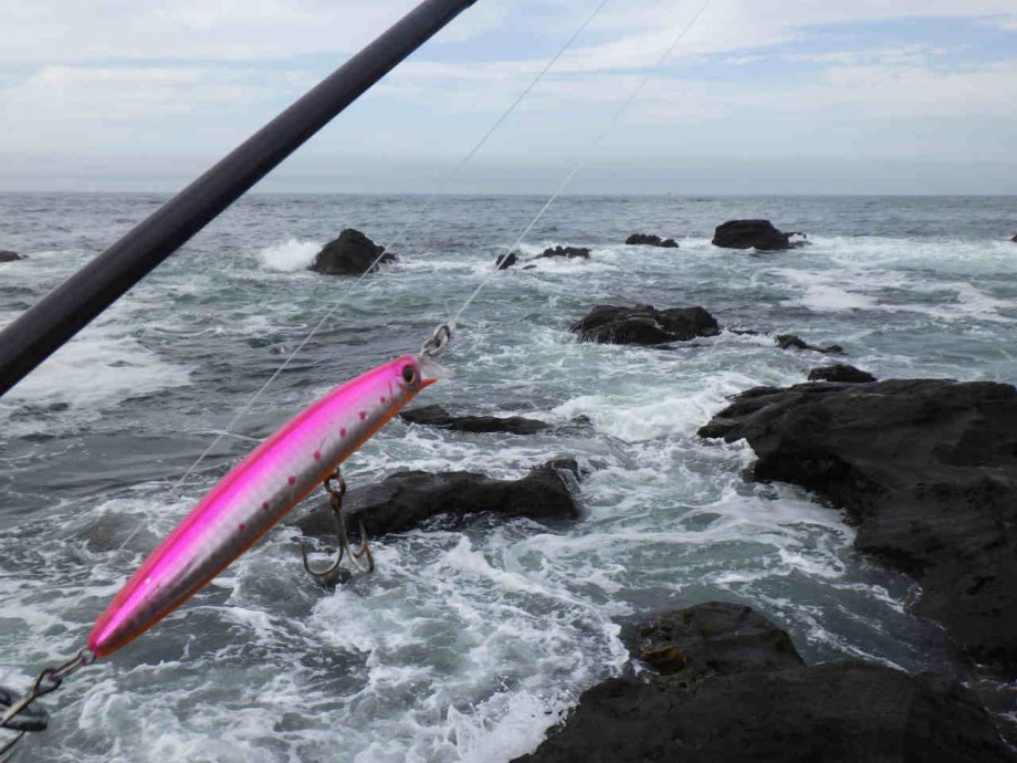 Action 三浦半島の磯で青物ワラサと荒磯ヒラスズキを狙う 三浦半島東部