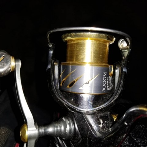 ag99skf8rb9xdbfjdnx7_480_480-eb769a48.jpg
