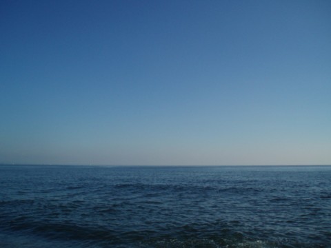 agnpdof7xa3246ijtz6v_480_480-f72f4ce8.jpg