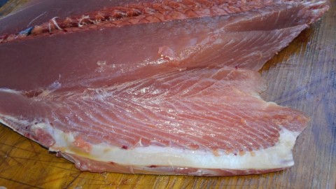 agojzkdjmjyrnswf58jg_480_480-6c406629.jpg