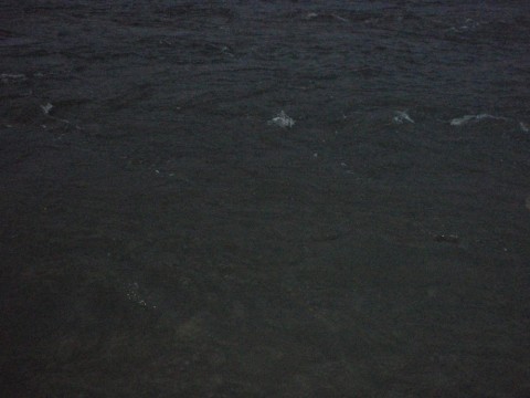 agom6u3eeabveb9yic8t_480_480-2d80e903.jpg