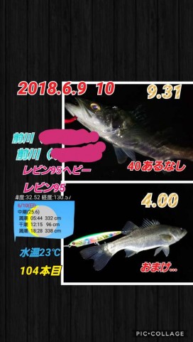 agwf6xstpffpsfzt2n5m_480_480-89595ebc.jpg
