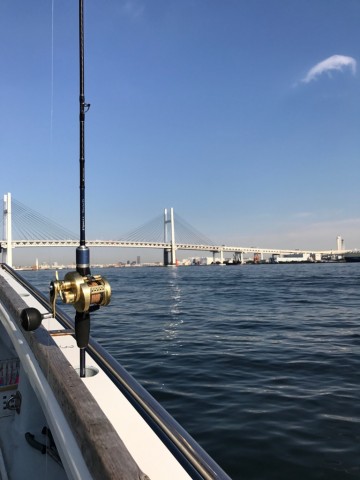 ahn797sjsf7gz5ouinsb_480_480-ae722912.jpg