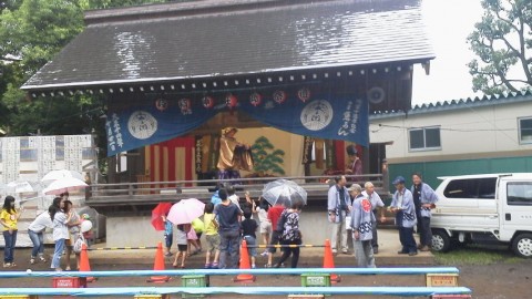 ahnsemu65kbs4fk44bdg_480_480-b654da04.jpg