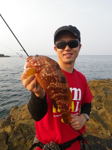 ahsejpmw2otteu9739ob_480_480-1f34b46a.jpg