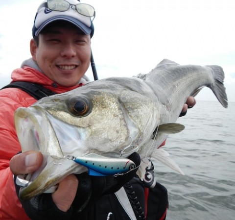 ahyo3ziguun25teifwdu_480_480-f04068d3.jpg