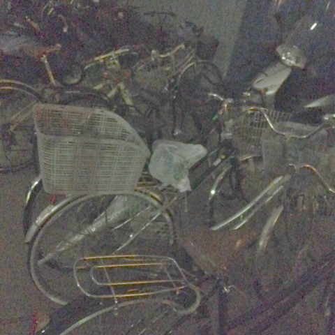 ajfkndyo9hubfrh72kwf_480_480-bef00940.jpg
