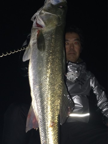 ajg73nitapgow2rgy9kg_690_920-ec5698a1.jpg