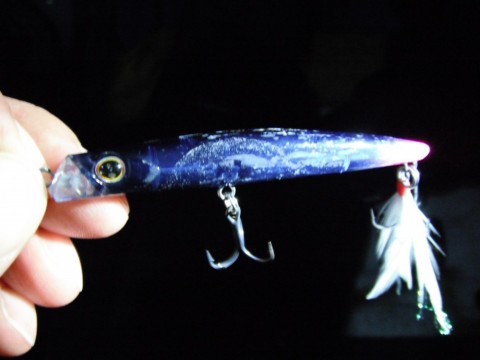aji27e5mzvr2hgnm5nyd_480_480-9ef69d11.jpg