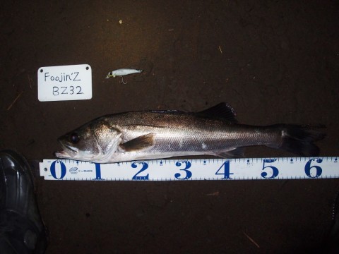 ak24grohikicxp2znwof_480_480-6e997578.jpg