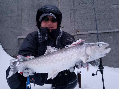 ak427c8w8d73ghvtumk6_480_360-675603a0.jpg