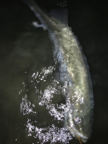 ak5r3p8tf5i99jcox6ch_690_920-903197c0.jpg