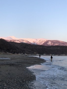 ak9epsbjapof9vge7b98_361_480-04ec4d23.jpg