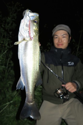 akjjx3uuuxmww7yzyi6u_480_480-33188325.jpg