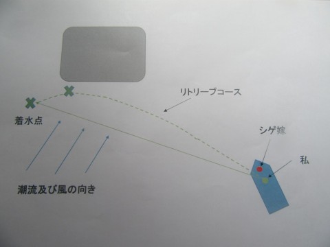 akmprmceo8s6o7wcfw26_480_480-6c54880a.jpg