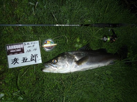 aksd48bsbnudta5hgkv7_480_480-4b03410e.jpg