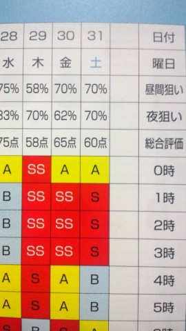 am52gbhg47suicgi6x88_480_480-fffe9f07.jpg