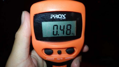 amezrtzrr53ktafx3695_480_480-2d597506.jpg