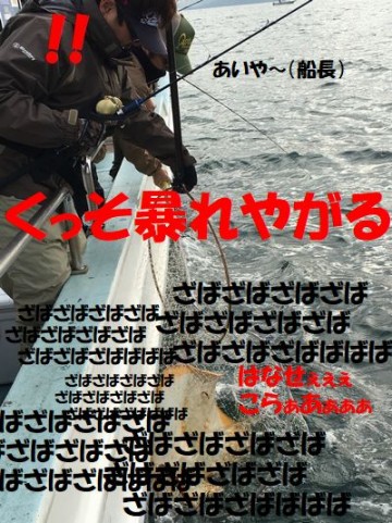 ampf5su7h9pzg4gcgfnj_480_480-204d361b.jpg