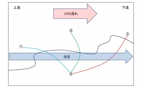 amwyzxa4dxznex9gd6zn_480_480-120b84fb.jpg