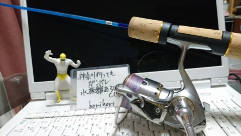 an66go6r69x2vi9bktsw_480_480-94ad07fb.jpg