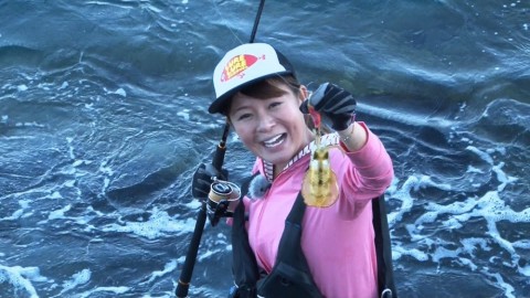 an7mry8k6a69kzm9see2_480_480-69b21df2.jpg