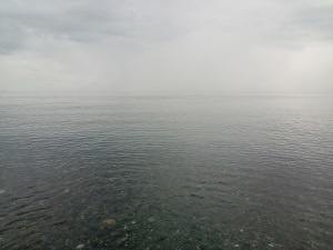 anckffuw2ys7g8dbxwca-7384518e.jpg