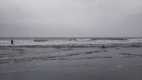 ank765ievv4xybgz37ej_480_480-ab9119f9.jpg