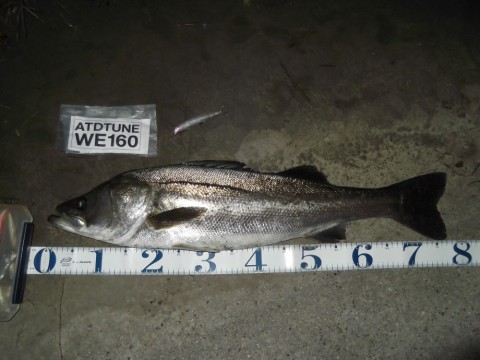 anpndb473545hju8xnw6_480_480-c91632e4.jpg