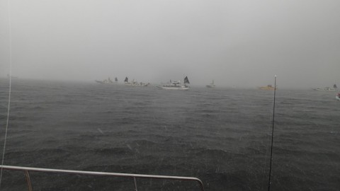 anpyu5ehs7oji8vve2cp_480_480-81f6b513.jpg