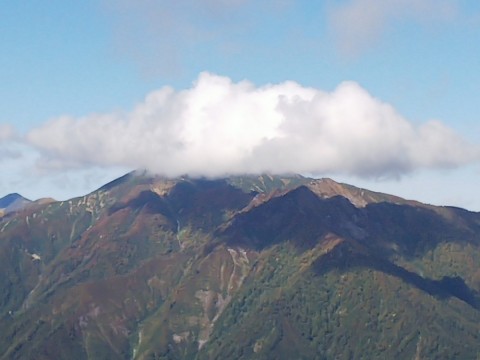 anpza7iyxk6753f3vzo2_480_480-3d7c4115.jpg