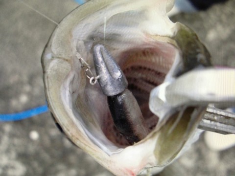 aomemfphas2n22mbo4i6_920_690-310711b8.jpg