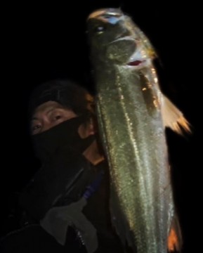 aonojkxpwbjn8wromd64_386_480-cce8f374.jpg