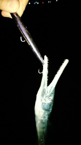 aoro6wsgn8nc7wrw2vdw_432_768-2e657925.jpg