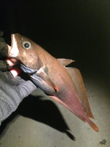 apbri78az3372x6io5k7_690_920-3a38c092.jpg