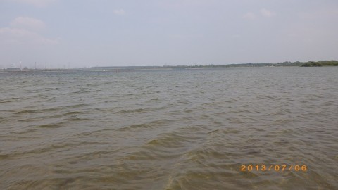 apcrmhvz7ivpduit9fkd_480_480-0e14df9f.jpg