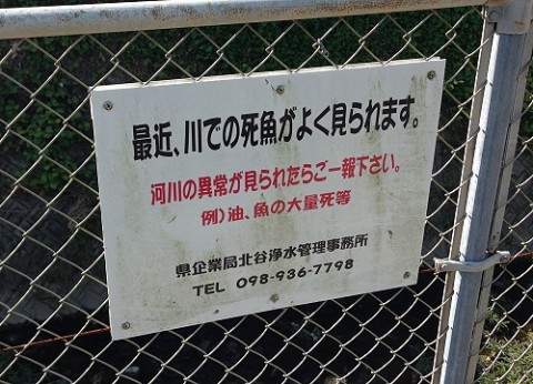 apfoahzf9s2fks2aex5n_480_480-5be4386c.jpg