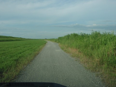 apskurhbbrgdi55m8vbe_480_480-f2226ba9.jpg