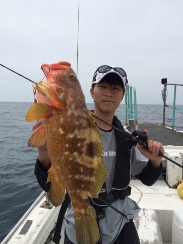 apv2p5gcyf3spig3dsdx_690_920-31c3b855.jpg
