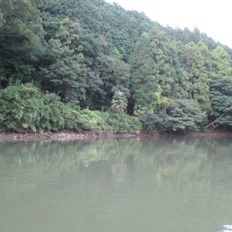 ar2jttiv8ia4wj26k8ce-11864c84.jpg