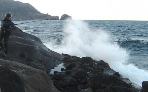arajkrca728ioxh79n5g_480_480-64f30082.jpg