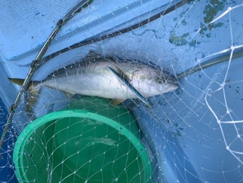 arimo9g3e5binv799vm7_480_361-69be5252.jpg